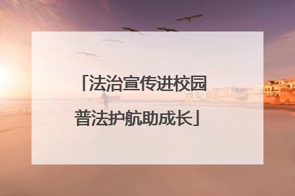 法治宣传进校园 普法护航助成长